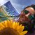 Megan Mendizabal Phillips's profile image