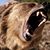 Mike Delacey's profile image