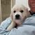 Estel Benton Lamb's profile image
