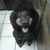 Gayle Amaral's profile image
