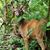 Sandie Lee Reynolds's profile image