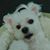 Pam Ralich's profile image