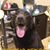 Todd Nibarger's profile image