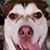Teri Reid's profile image