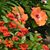 Rebecca Cepluch's profile image