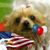Helen Nowacki's profile image
