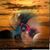 Michelle Everett's profile image