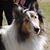 Scott Klar's profile image