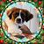 Abby Cecil's profile image