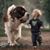 Barb Sheard's profile image