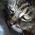 Lisa Robbins's profile image