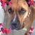 Lynn Ruby's profile image