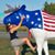 Lisa Marie Chambers's profile image