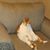 Tammy Hall Crislip's profile image