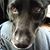 Marilyn May Whitaker's profile image