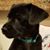 Betty Rae Schladt Taivalkoski's profile image