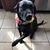Mary L DeMello's profile image