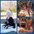 Alicia Wright Whited's profile image