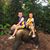 Teresa Dirkes's profile image