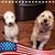 Ruth Ann's profile image