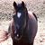 Siela Angel's profile image