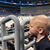 Scott Van Winkle's profile image