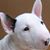 Dan Owens's profile image