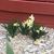 Doreen Ostrom Gens Pulbratek's profile image