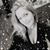 Ashley Nichole Clark's profile image