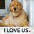 Pam Fraley Meyer's profile image