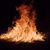 Arlene Balaban's profile image