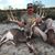 Corey Gifford's profile image