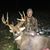 Taylor Donahue's profile image