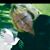 Debbra Sharman's profile image