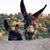 Terry Crites's profile image