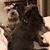 Wendy Boudreau Ferrone's profile image
