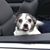 Robert M. Jenkins Sr.'s profile image