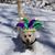 Pam Ours's profile image