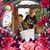 Nancy Clark's profile image