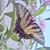 Sally Coup's profile image