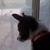 PhyllisandWillie Scott's profile image
