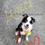 Darlene Kohler's profile image