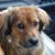 Donna Thall's profile image
