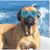 Audrey Martin's profile image