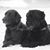 Dianne Johnston Crandall's profile image