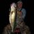 Alan Moller's profile image