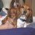 Darlene Ross Key's profile image