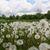 Debra Gilbert's profile image