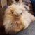 Lori Lockridge's profile image