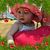 Robert Aman's profile image